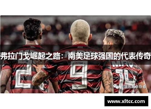 弗拉门戈崛起之路：南美足球强国的代表传奇