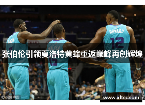 张伯伦引领夏洛特黄蜂重返巅峰再创辉煌