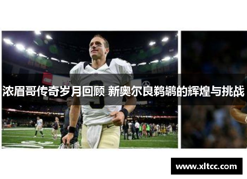 浓眉哥传奇岁月回顾 新奥尔良鹈鹕的辉煌与挑战 浓眉哥传奇岁月回顾 新奥尔良鹈鹕的辉煌与挑战